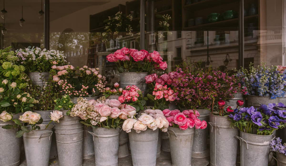 Discover the Best Summer Blooms at Online Flower Shops